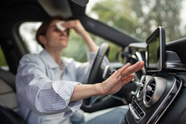 Best Air Conditioning Cleaning in White Rock, NM